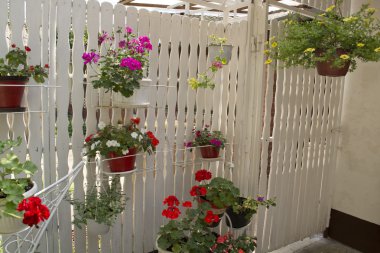 Asılı çiçek bahçesi