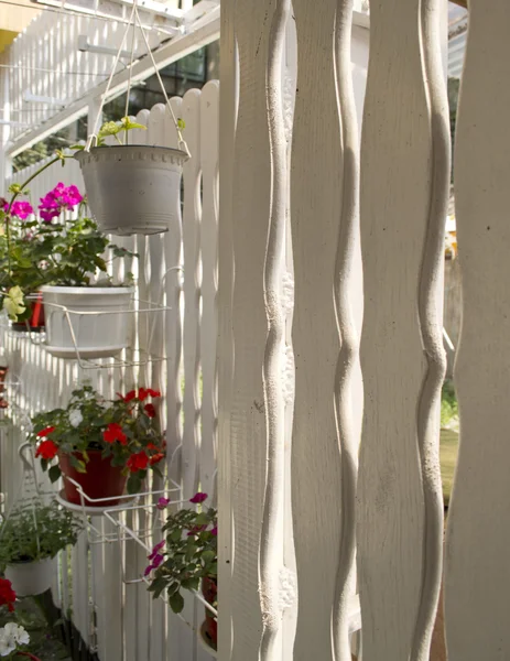 Jardín de flores colgantes — Foto de Stock