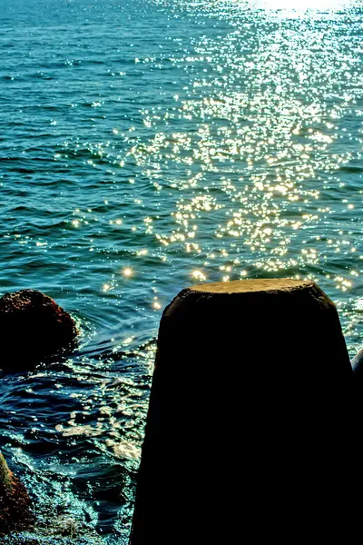 Miradas en el mar — Foto de Stock