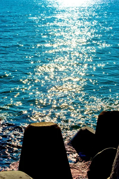 海を睨む — ストック写真
