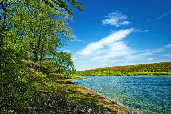 Lago en madera —  Fotos de Stock