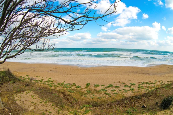 Playa vacía en otoño Fotos De Stock