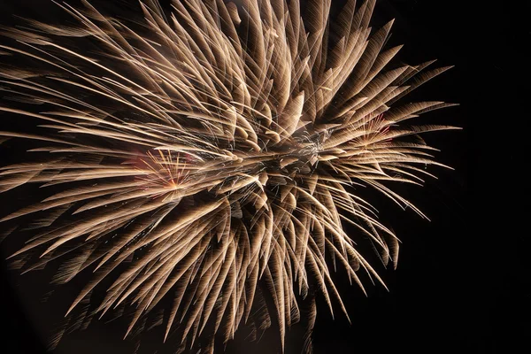 Feuerwerk Primer plano Imágenes de stock libres de derechos