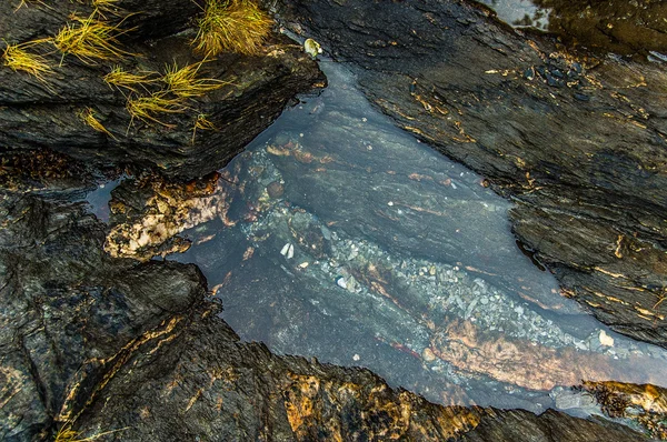 Alaska kıyı şeridi kaya