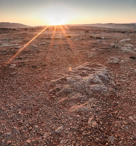 Марсианский рассвет — стоковое фото