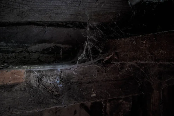 Dusty Attic Lot Cobwebs Web Attic House Unique Moment Spider — Stock Photo, Image