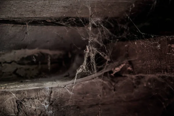 Dusty Attic Lot Cobwebs Web Attic House Unique Moment Spider — Stock Photo, Image