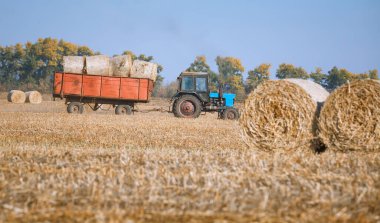 Harika sonbahar çiftçilerinin tarlalarında hasattan sonra saman yığınları ve altın olgunlaşan buğday tarlalarıyla hasat.