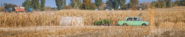 Heuernte Herrlicher Herbstlicher Feldlandschaft Mit Heustapeln Nach Der Ernte Und — Stockfoto