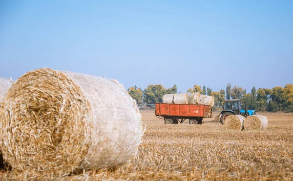 Heuernte Herrlicher Herbstlicher Feldlandschaft Mit Heustapeln Nach Der Ernte Und — Stockfoto