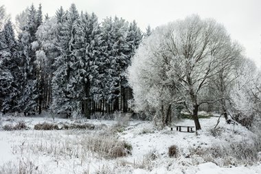 Kar ve ağaçlarla kaplı kış manzarası