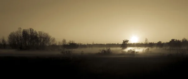 Sabah Işığı — Stok fotoğraf