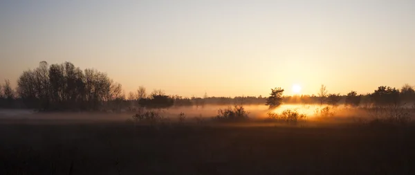Sabah Işığı — Stok fotoğraf