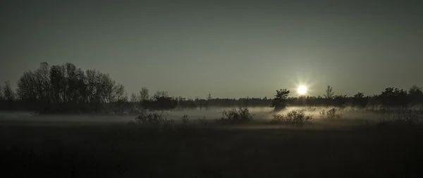 Lumière du matin — Photo