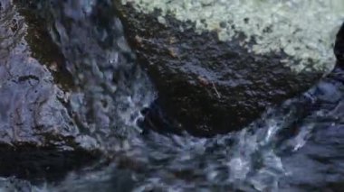 Küçük Rapids dağ dere akım oluşturur