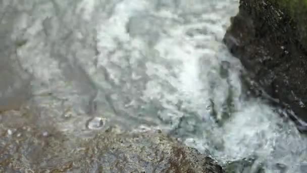 Corriente en Mountain Stream forma pequeños rápidos — Vídeo de stock