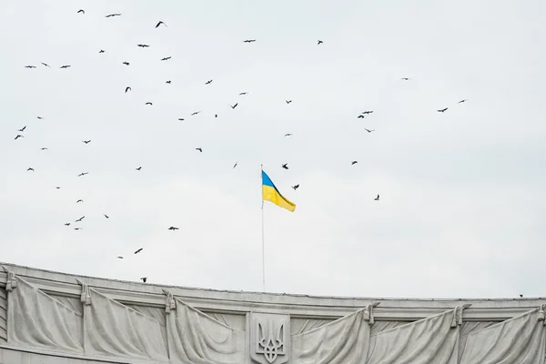 Ukrainische Flagge — Stockfoto