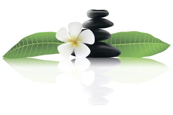 Piedras de spa con flor de frangipani — Vector de stock