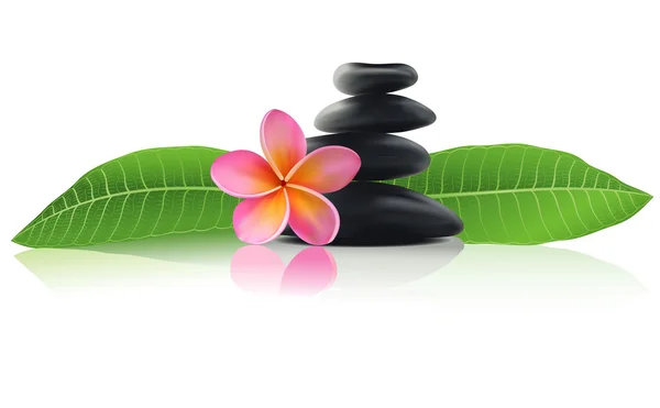 Piedras de spa con flor de frangipani rosa — Vector de stock