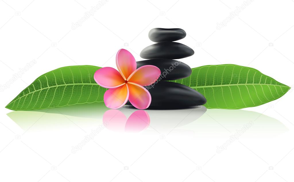 Spa stones with pink frangipani flower