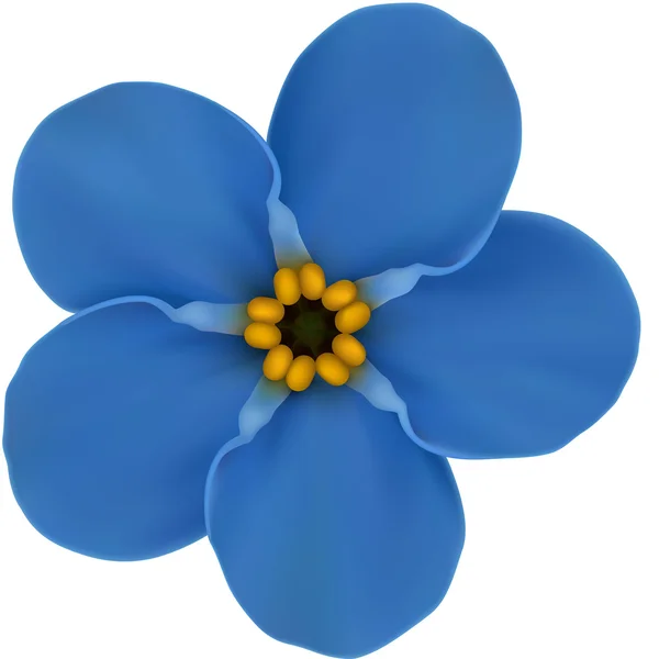 Vergissmeinnicht blaue Blume — Stockvektor