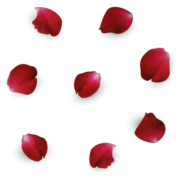 Pétalos de rosa roja — Vector de stock