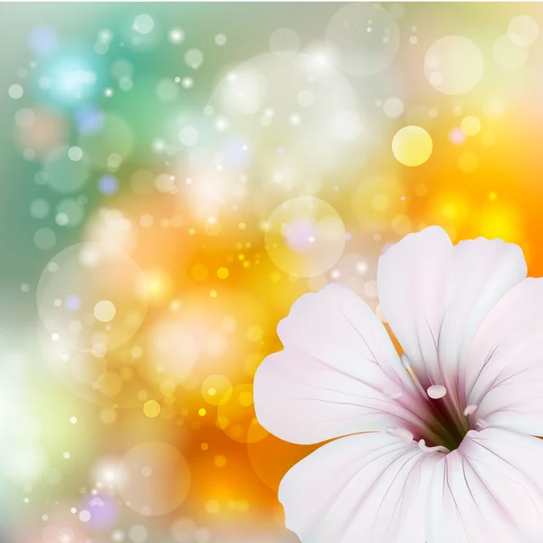 Bílý kvetoucí květiny — Stockový vektor