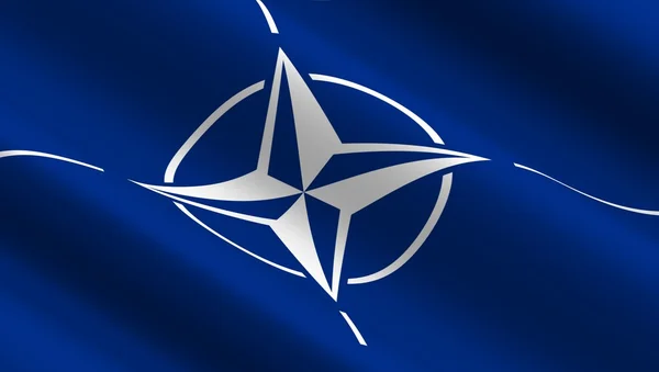 Fahne der Nato-Organisation schwenkend. — Stockfoto