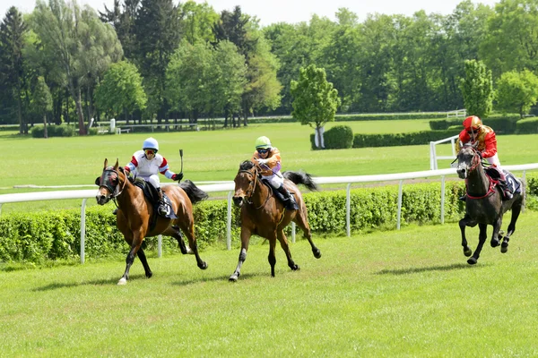Wroclaw, Polonia, 10 de mayo de 2015: Finaliza la carrera para caballos de solo 3 años grupo II en Wroclaw . — Foto de Stock