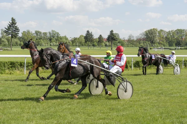 Wroclaw, Poland, May 10, 2015: Finish the International race for 3 year old and older trotters French sulki in Wroclaw. — Stock Photo, Image