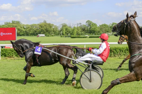 Wroclaw, Poland, May 10, 2015: Finish the International race for 3 year old and older trotters French sulki in Wroclaw. — Stock Photo, Image