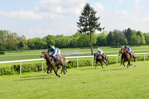 Wroclaw, Poland, May 10, 2015: Finish the race for horses only 3 year old group III in Wroclaw. — Stock Photo, Image