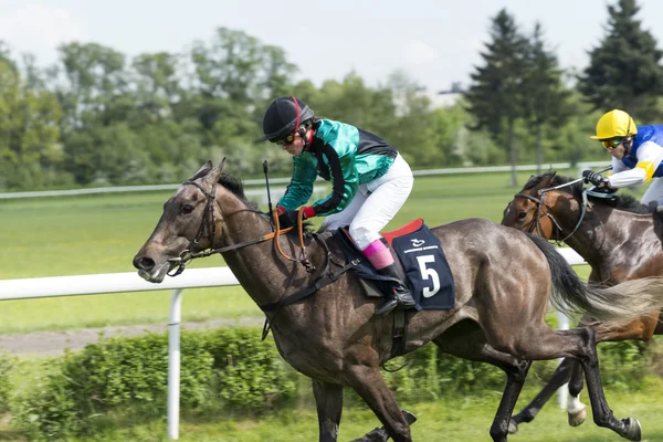 Wroclaw, Polonia, 10 de mayo de 2015: Termina la carrera para caballos solo grupo III de 3 años en Wroclaw. Esta es una carrera anual en la pista Partynice abierta al público . — Foto de Stock