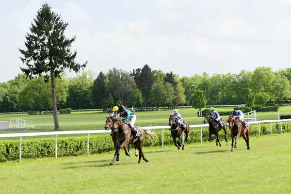 Wroclaw, Polen, 10 mei 2015: De Finish voor paarden alleen 3-jarige groep Iii in Wroclaw. — Stockfoto