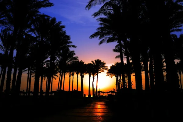 Sunrise Makadi bay. Hurgada. Egypt — Stock Photo, Image