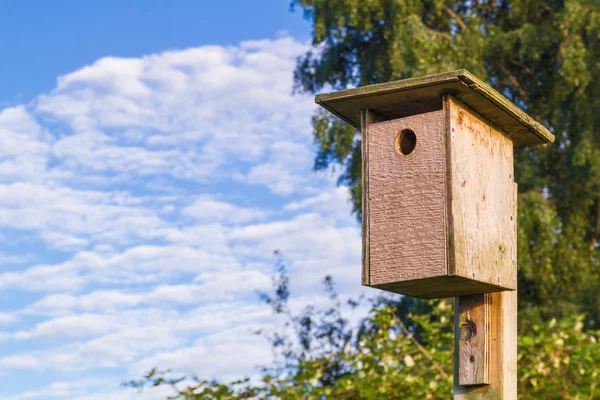 Casa de aves de estornino de madera , — Foto de Stock