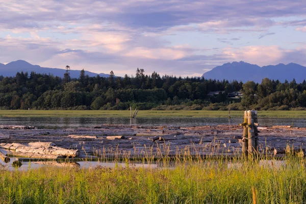 Sanset en el río rural — Foto de Stock