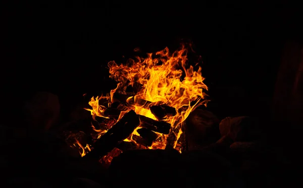 Camp fire in the nigth — Stock Photo, Image