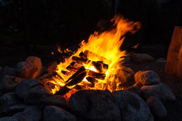 Camp fire in the nigth — Stock Photo, Image