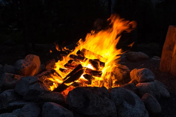 Lagerfeuer in der Nacht Stockfoto