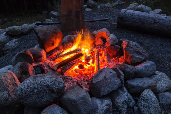 Camp fire in the nigth — Stock Photo, Image