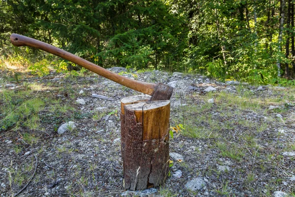 Axe op log — Stockfoto