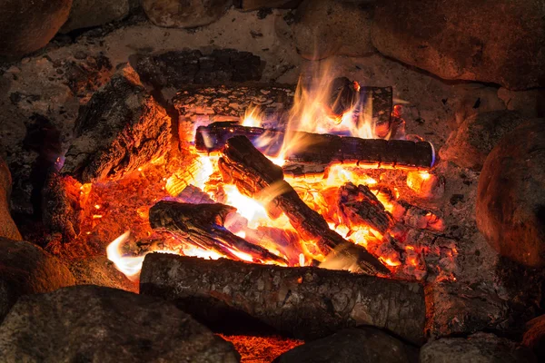 Camp fire in the nigth — Stock Photo, Image