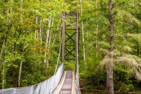 Suspention bridge in countryside. — Stock Photo, Image