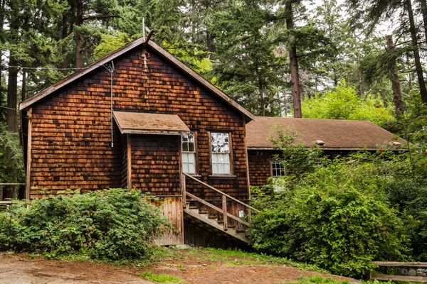 Oud houten huis in het bos. — Stockfoto