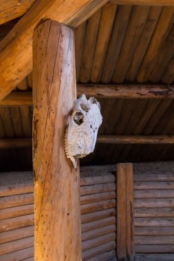 Bir oturum açma kürek