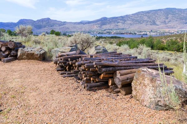 Old dried logs pile. — Stock Photo, Image