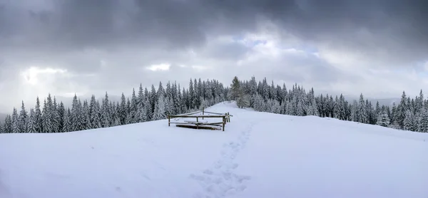 Gefrorener Winterwald Nebel Karpaten Ukraine — Stockfoto