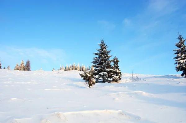 Téli Fák Hegyek Hóval — Stock Fotó