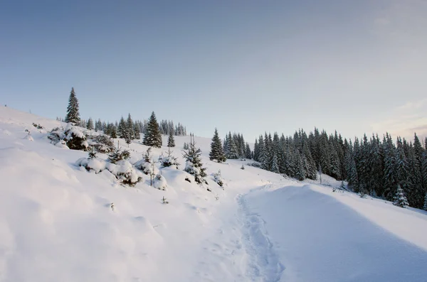 Árboles Invierno Montañas Cubiertas Nieve — Foto de Stock